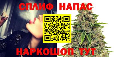ПСИЛОЦИБИНОВЫЕ ГРИБЫ Абакан