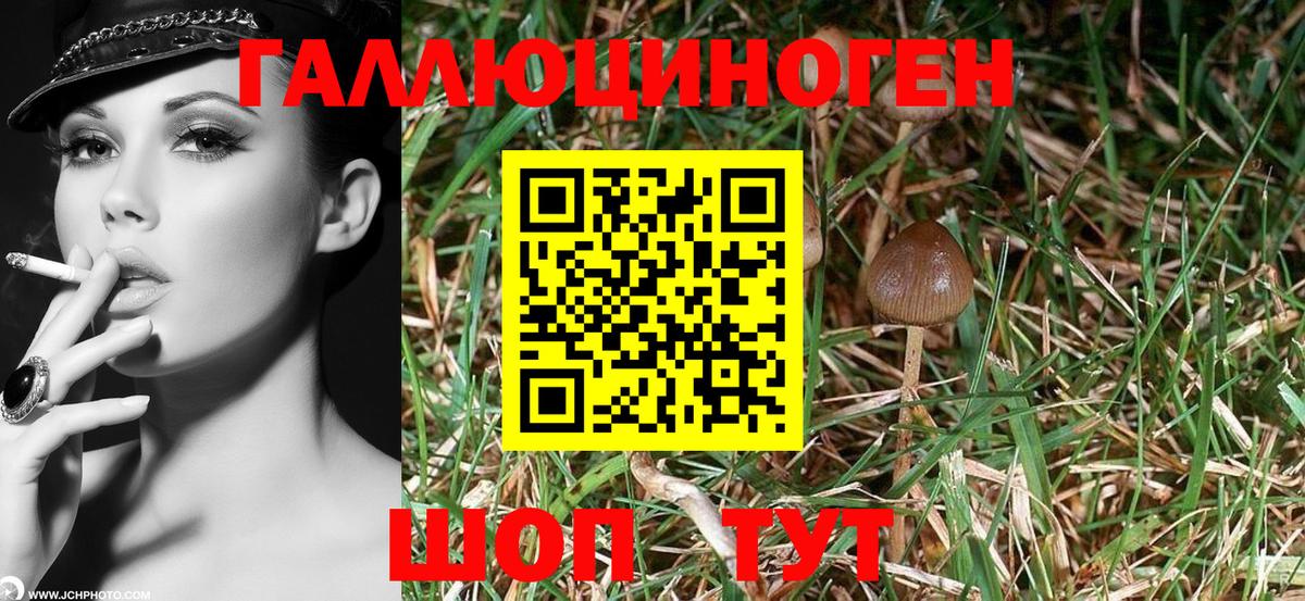 Псилоцибиновые грибы Magic Shrooms  Галлюциногенные грибы Psilocybine cubensis  Вход с VPN  Апатиты 